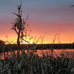 Susan Bentz - @susanb12681 - Instagram