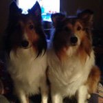 Susan Berkeley - @suenjoe1 - Instagram