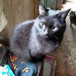 Susan Berkeley - @sueberkeley7 - Instagram