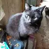 Susan Berkeley - @susanberkeley - TikTok