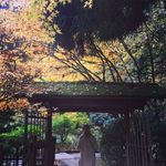 Susan wills - @susanberkeleywills - Instagram