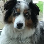 Susan Bernier - @vineyardcooper - Instagram