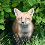 Susan Bernier Nonken - @5330susan - Instagram
