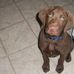 Sue Berreth - Facebook