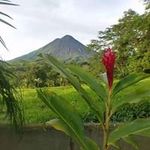 Susan Reiko Morioka Bertram - @moriokabertram - Instagram