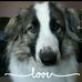Susan Bethune Jamie - Facebook