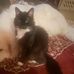 Susan Bice - Facebook