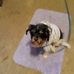 Susan Bice - Facebook