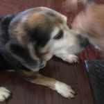 Susan Bice Riccardi - @susanriccardi - Instagram