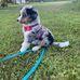 Susan Bieber - Facebook