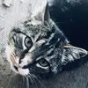 susanbieber75 - @susanbieber75 - TikTok