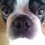 Susan Hahn Biggers - @subigg - Instagram
