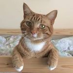 Susan Biggs - @susanbiggs1954 - Instagram