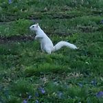 Susan Henderson Biggs - @susanbiggs - Instagram