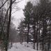 Susan Bilodeau - Facebook