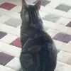 Susan Bilodeau - @susanbilodeau - TikTok