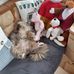 Susan Binns - Facebook