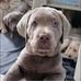 Sue Bisbee - Facebook