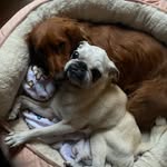 Susan Bisbee - @sgbisbee - Instagram