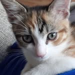 Susan Blades - @susanblades59 - Instagram