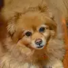 susanblades618 - @susanblades618 - TikTok