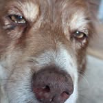 Susan Blades - @skippisue - Instagram
