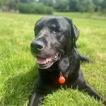 Susan Blakey - @susanblakey75 - Instagram