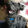 Susan Blakey - @susanblakey1 - TikTok