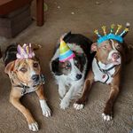 Susan Blakey - @soozlebe - Instagram