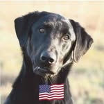 Susan Bledsoe - @bledsoesusan - Instagram