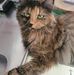 Susanne Blomgren - Facebook