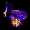 Susan Bobel769 - @susanbobel769 - TikTok