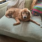 Susan Bobel - @bobelsusan - Instagram