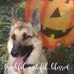 susan bober - @bobersusan - Instagram