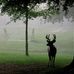 Susan Boler - Facebook