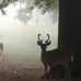 Susan Boler - Facebook