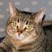 Susan Bomar - Facebook