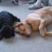 Susan Bomar - Facebook