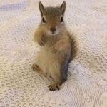 Susan Boris - @susan.boris - Instagram