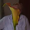 Susan - @susanboris36 - TikTok