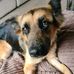 Susan Borthwick - Facebook