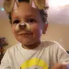 susanharbort - @susanharbort - TikTok