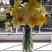Susan Bortner - Facebook