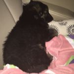 Susan Bost - @sassy.1.0.1 - Instagram