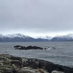 Susan Bost - @susan_bost336 - Instagram