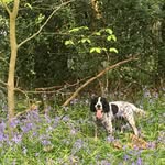 Susan Bostock - @susan.bostock.549 - Instagram