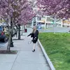 susanita_in_boston - @susanita_in_boston - TikTok