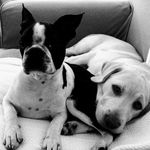 Susan Botha - @susan.botha.79827 - Instagram