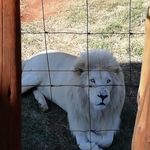 Susan Botha - @susan.botha.3990 - Instagram