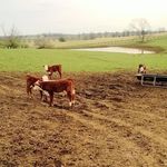 Susan Botkin - @botkin679 - Instagram